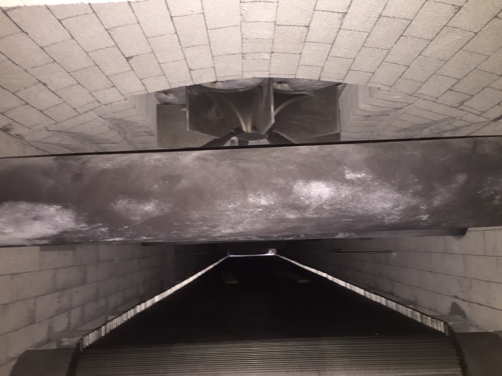 Interno di forno continuo con nastro a rete metallica
